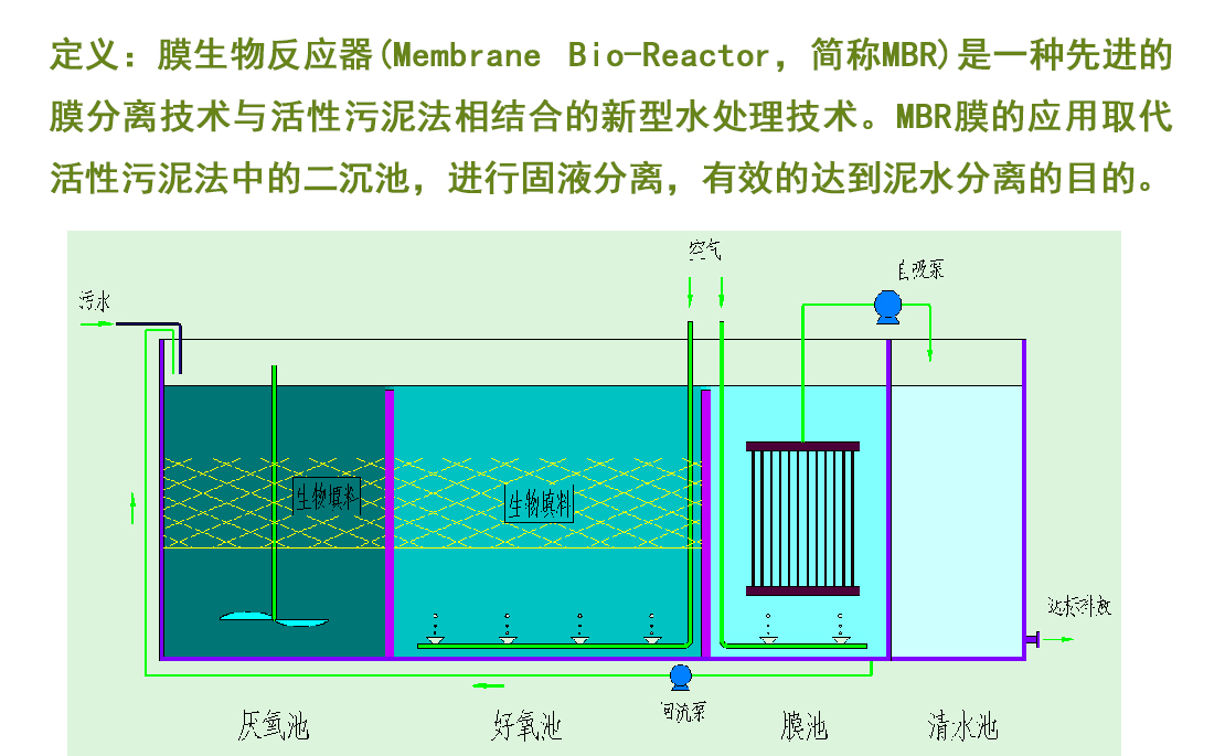 亚洲Av无码精品国产精品成人