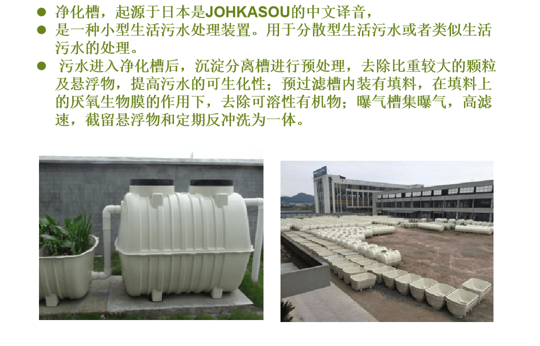 亚洲Av无码精品国产精品成人