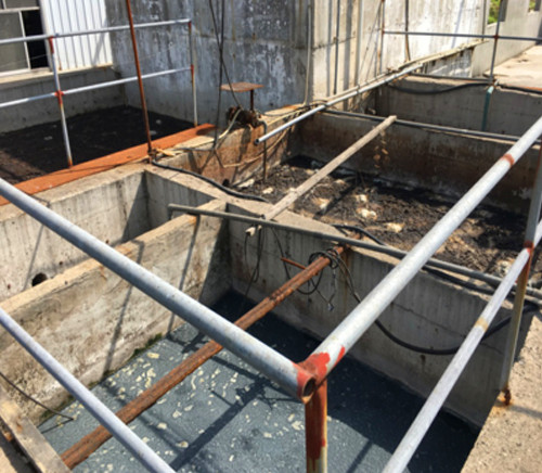 载体固化微生物技术