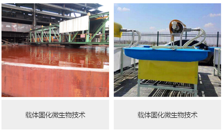 湖北日本乱妇乱熟乱妇乱色A片.png 湖北日本乱妇乱熟乱妇乱色A片.png